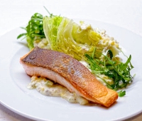 1.-Kepta-lasisa-su-Iceberg-salota