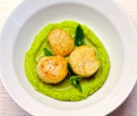 3.-Sukutes-su-zaliuju-zirneliu-pesto-padazu