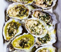 8.-Uzkeptos-austres