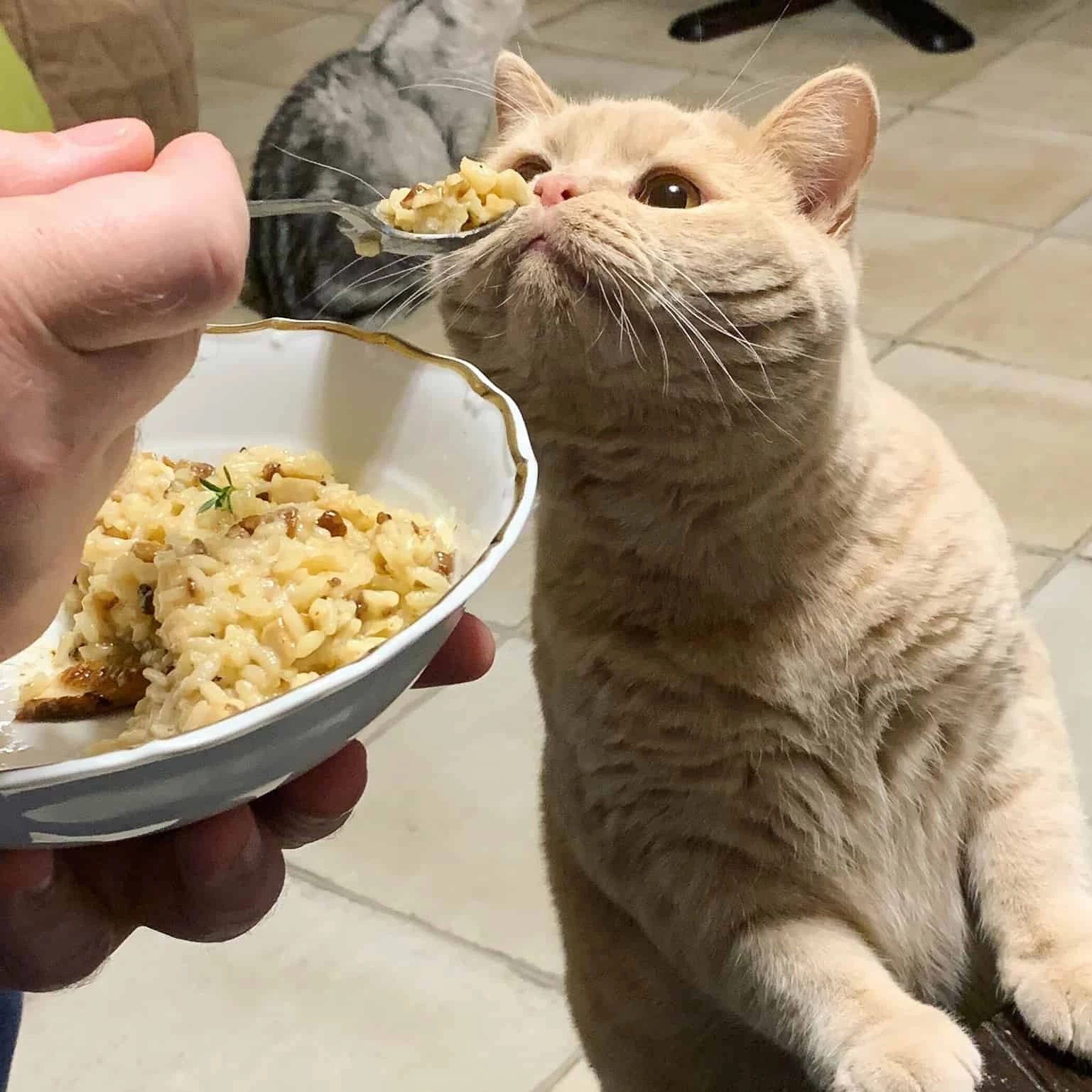 Risotto - bulviukose.lt