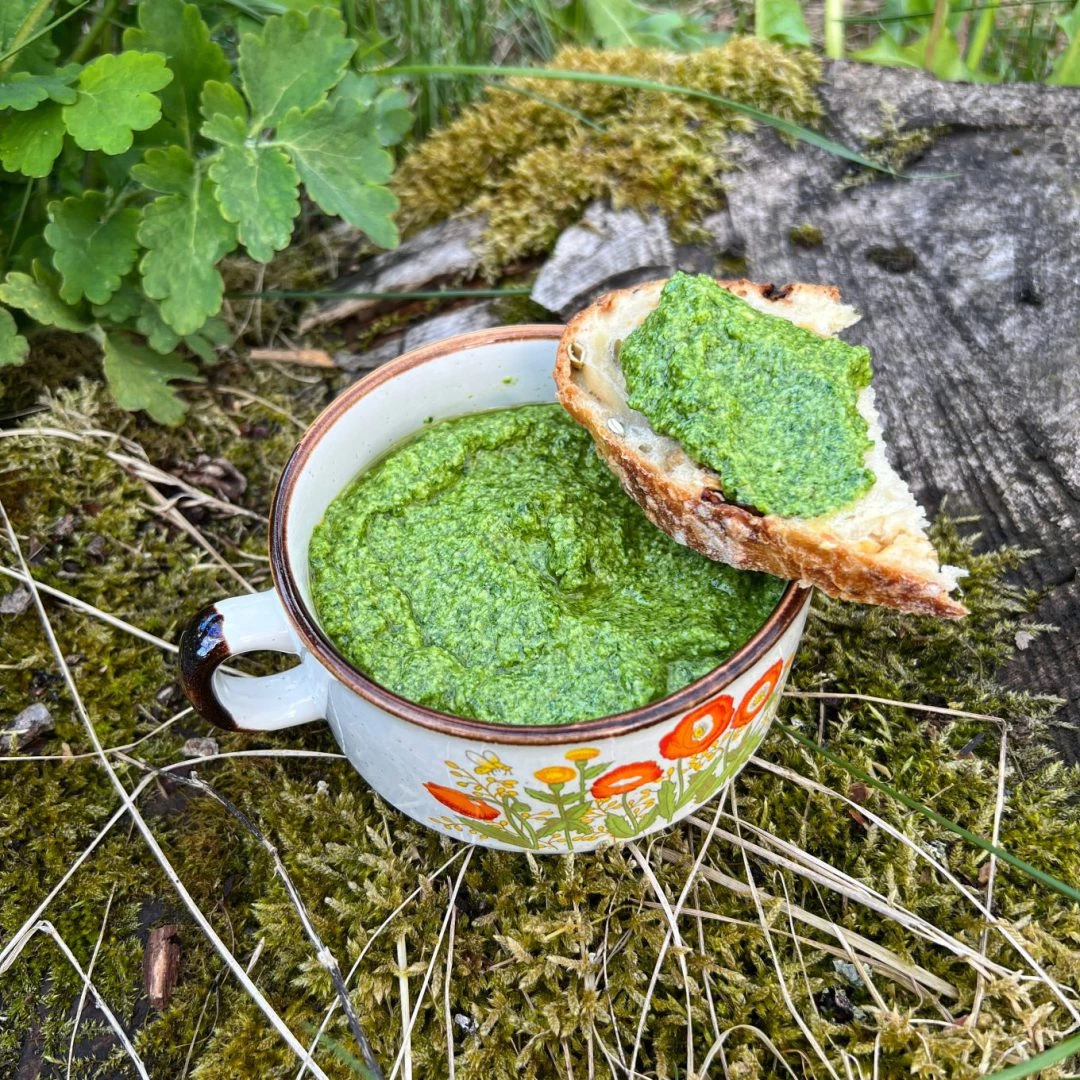 Česnakūnių pesto