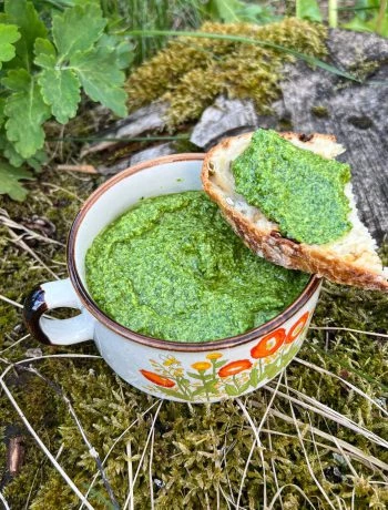Česnakūnių pesto